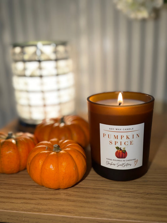 Pumpkin Spice | Soy Wax Candle