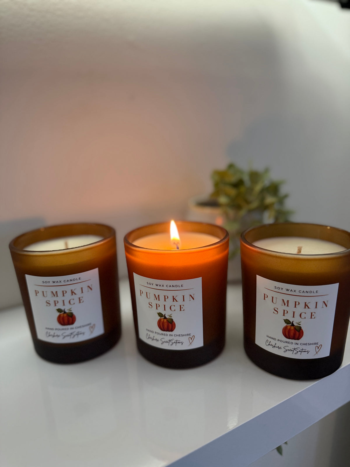 Pumpkin Spice | Soy Wax Candle