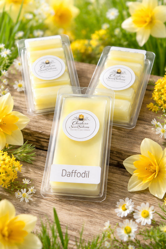 Daffodil
